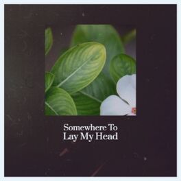 Album cover of Somewhere To Lay My Head