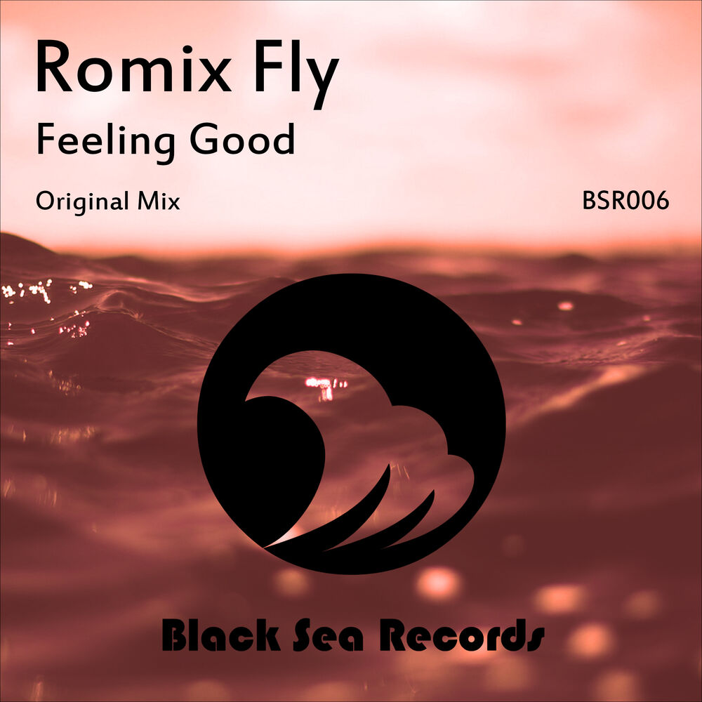 Love Fly. Feeling good Mix. The feeling (Original Mix). Turn me up. Feeling me original mix