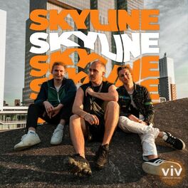 Album cover of Skyline