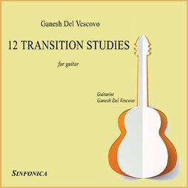 Album cover of Del Vescovo: Twelve Transition Studies