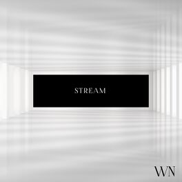 Album cover of Stream - White Noise