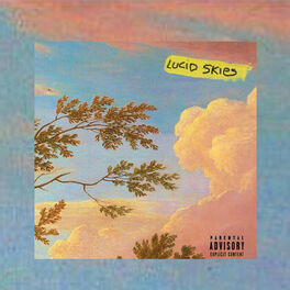 Album cover of Lucid Skies