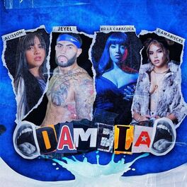 Album cover of Damela