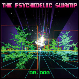 Album cover of The Psychedelic Swamp