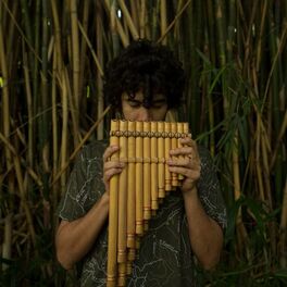 Album cover of San Anita (Live)