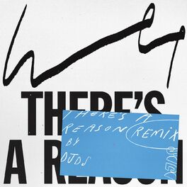 Album cover of There's a Reason (DJDS Remix)