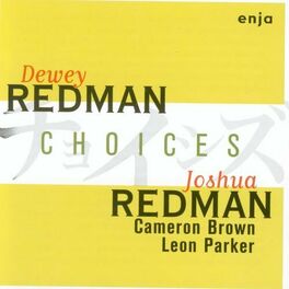 Album cover of Choices