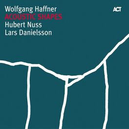 Album cover of Acoustic Shapes