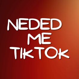 Album cover of Needed Me TikTok (Remix)