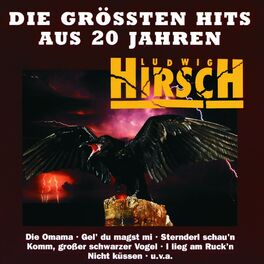 Album cover of Die Grössten Hits Aus 20 Jahren