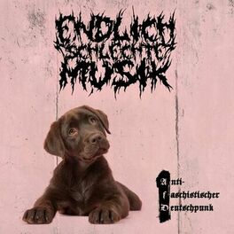Album cover of Antifaschistischer Deutschpunk
