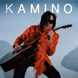 Album cover of Kamion