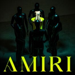 Album cover of Amiri