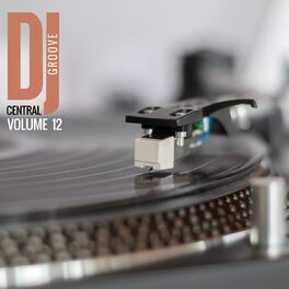 Album cover of DJ Central Groove Vol, 12