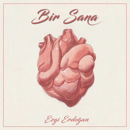 Album cover of Bir Sana
