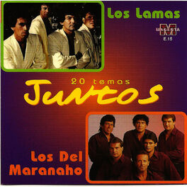 Album cover of Los Lamas - Los Del Maranaho - 20 Temas juntos