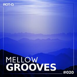 Album cover of Mellow Grooves 020