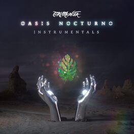 Album cover of Oasis Nocturno (Instrumentals)