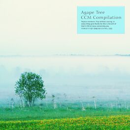 Album cover of CCM Piano Agape Tree's