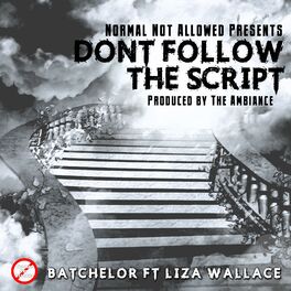 Album cover of Don't Follow the Script (feat. Liza Wallace)