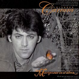 Album cover of Mariposas en el Alma