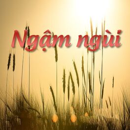 Album cover of Ngậm Ngùi