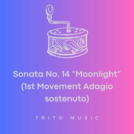 Album cover of Sonata No. 14 “Moonlight” (1st Movement Adagio sostenuto)