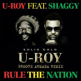 Album cover of Rule The Nation (feat. Shaggy) (Groove Armada Remix)