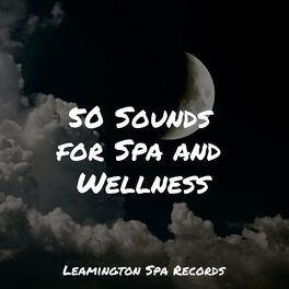 Album cover of 50 Sounds for Spa and Wellness