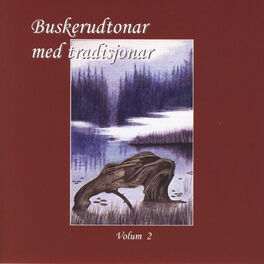 Album cover of Buskerudtonar Med Tradisjonar, Vol. 2