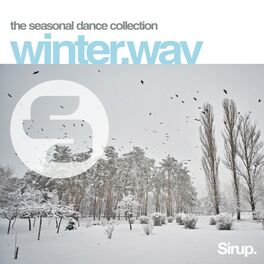 Album cover of Winter.Wav
