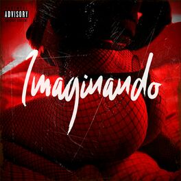 Album cover of Imaginando