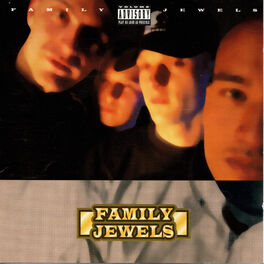 Album cover of Family Jewels