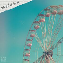 Album cover of wonderland