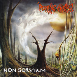 Album cover of Non Serviam