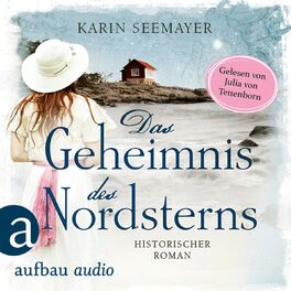 Album cover of Das Geheimnis des Nordsterns (Ungekürzt)