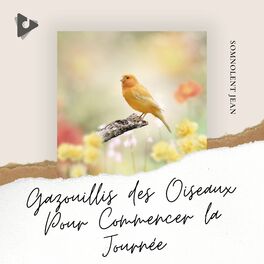 Album cover of Gazouillis des Oiseaux Pour Commencer la Journée