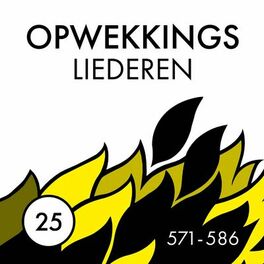 Album cover of Opwekkingsliederen 25 (571-586)