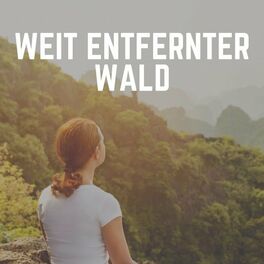 Album cover of Weit Entfernter Wald