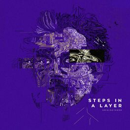 Album cover of Steps In A Layer