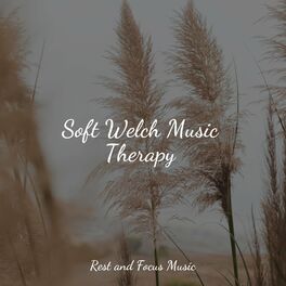Album cover of Soft Welch Music Therapy