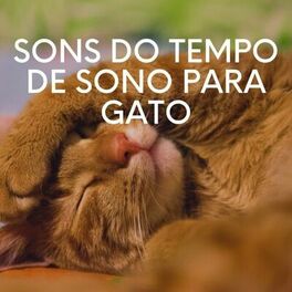 Album cover of Sons do Tempo de Sono para Gato