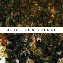 Album cover of Quiet Confidence