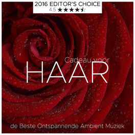 Album cover of Cadeau voor Haar: de Beste Ontspannende Ambient Muziek voor Intieme en Sensuele Momenten