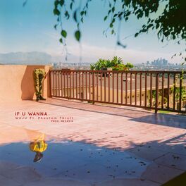 Album cover of If U Wanna (feat. Phantom Thrett)