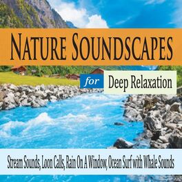 Album cover of Nature Soundscapes for Deep Relaxation: Stream Sounds, Loon Calls, Rain On a Window, Ocean Surf With Whale Sounds