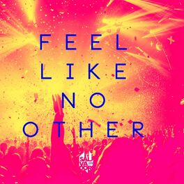 Album cover of Feel Like No Other