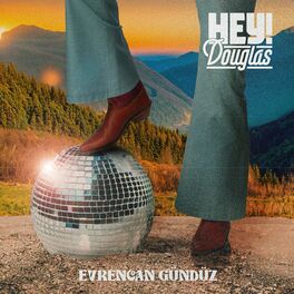 Album cover of Dağlar Gider Yolunda (Disco)
