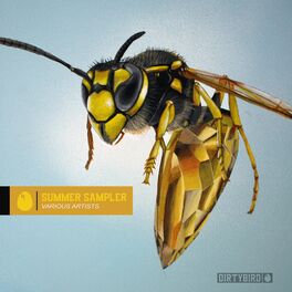 Album cover of Summer Sampler