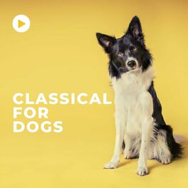 Album cover of Classical for dogs